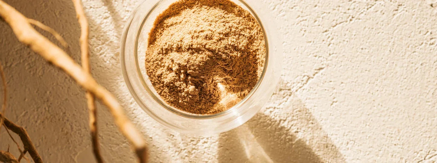 What Is Ashwagandha? The Ancient Adaptogen Powering Your Daily Calm